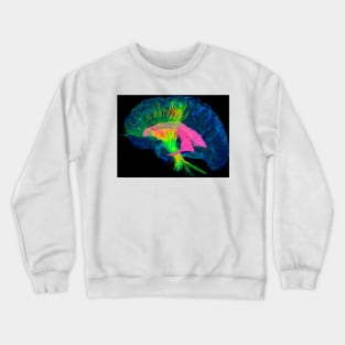 Brain fibres, DTI MRI scan (C017/7036) Crewneck Sweatshirt